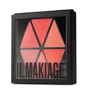 IL MAKIAGE Color Master Lip Palette in Rouge Confession